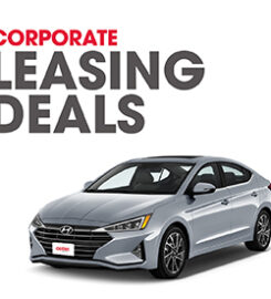 Dollar Rent A Car