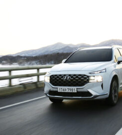 MSM CAR RENTALS – TRANSPORT