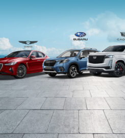 VEHICLE LEASING COMPANY LLC- HEAD OFFICE