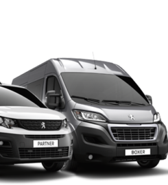 Global Car Rental & Leasing- Service & Operations Ghala Office العالمية لتأجير السيارات