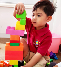 New Dubai Nursery