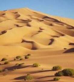 Oman Sharing Tours
