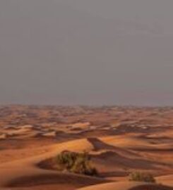 Oman Sharing Tours