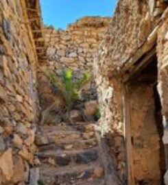 Oman Sharing Tours