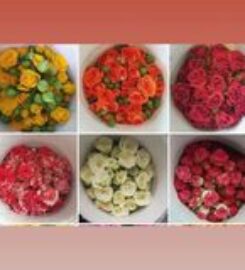 Lights rose Flower shop oma
