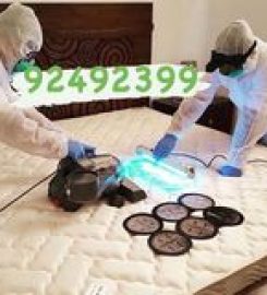 Professional Cleaning & Sterilizing Services