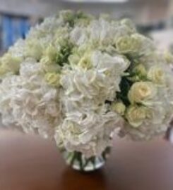 The Flower Shop Oman
