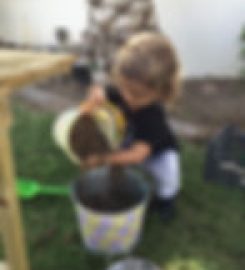 Willowbrook Nursery Muscat