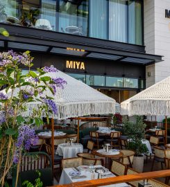 Miya (So Greek)- Greek Restaurant, Dubai