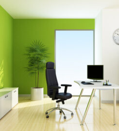 Apartment Painting Services