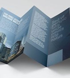 Orient Printing Press & Stationery (OPPS PRINT)