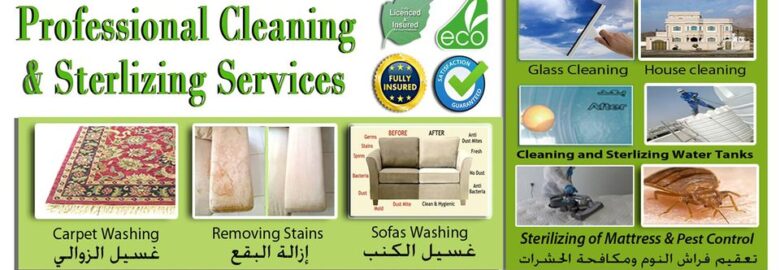 Professional Cleaning & Sterilizing Services