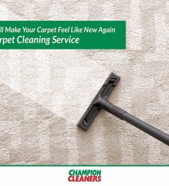 Champion Cleaners Qatar – Dry cleaning & Laundry services