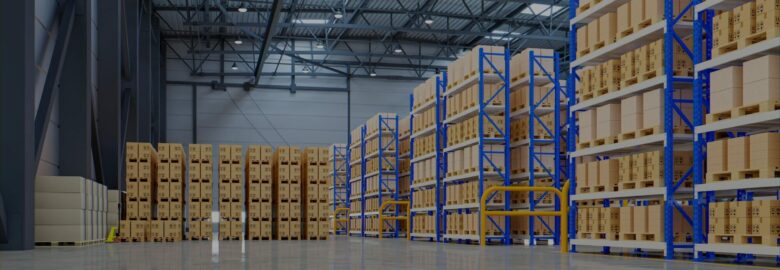 Move Leaders – Movers and Packers in Qatar
